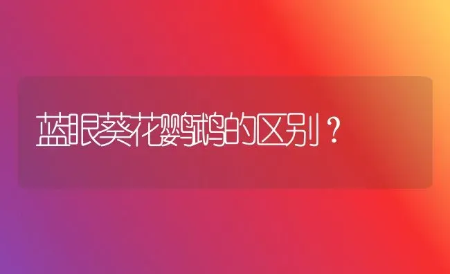 猫咪走丢了，一直能听到叫声到找不到在哪儿怎么办？ | 动物养殖问答