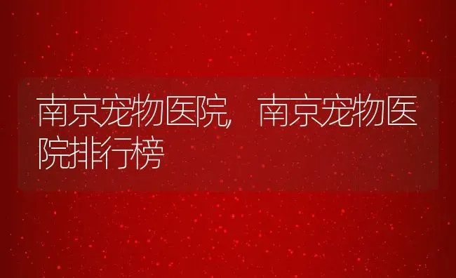 南京宠物医院,南京宠物医院排行榜 | 宠物百科知识