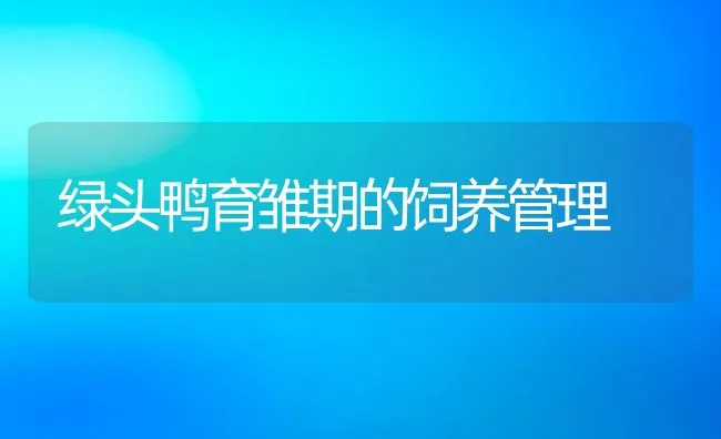 美国大口胭脂鱼养殖法 | 海水养殖技术