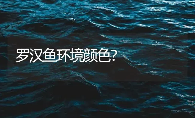 罗汉鱼环境颜色？ | 鱼类宠物饲养