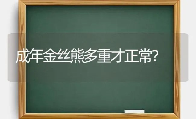 成年金丝熊多重才正常？ | 动物养殖问答