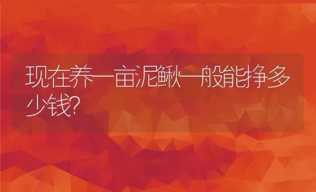 现在养一亩泥鳅一般能挣多少钱？ | 动物养殖百科