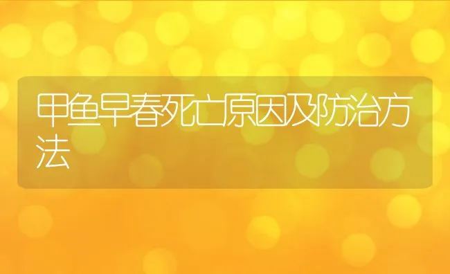 甲鱼早春死亡原因及防治方法 | 水产养殖知识