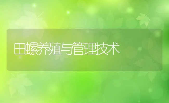 田螺养殖与管理技术 | 水产养殖知识