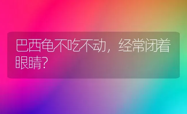 巴西龟不吃不动，经常闭着眼睛？ | 动物养殖问答