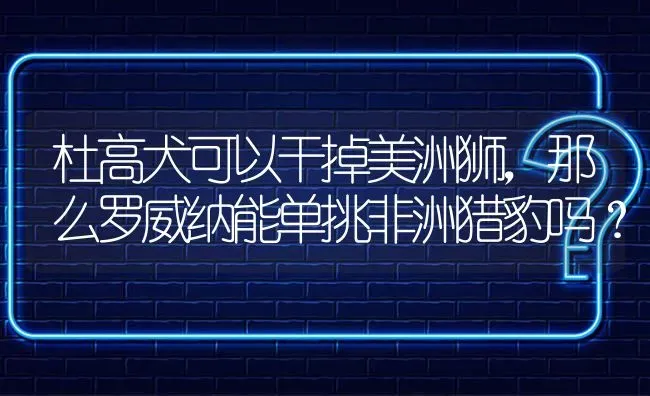 杜高犬可以干掉美洲狮，那么罗威纳能单挑非洲猎豹吗？ | 动物养殖问答