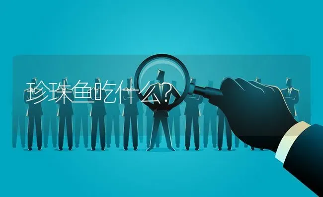 珍珠鱼吃什么？ | 鱼类宠物饲养