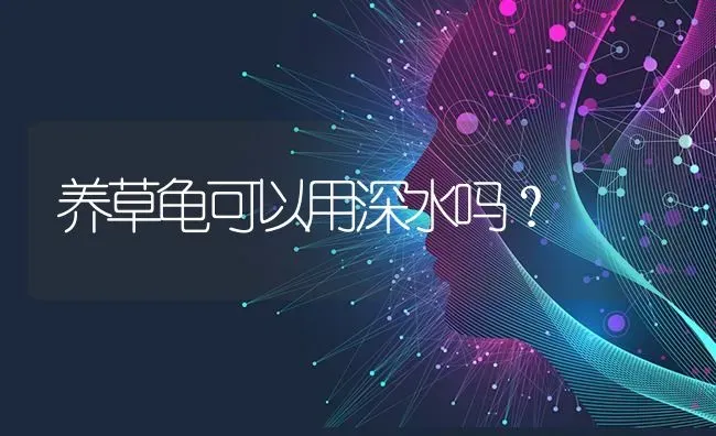 养草龟可以用深水吗？ | 动物养殖问答