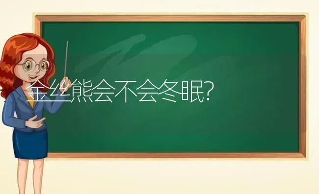 金丝熊会不会冬眠？ | 动物养殖问答