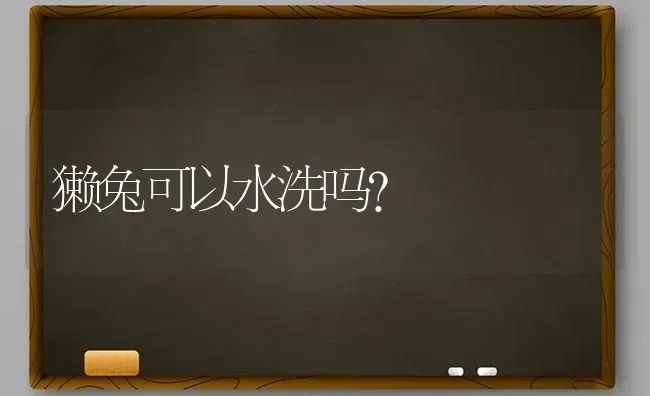 獭兔可以水洗吗？ | 动物养殖问答