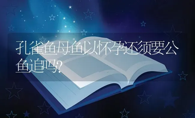 孔雀鱼母鱼以怀孕还须要公鱼追吗？ | 鱼类宠物饲养