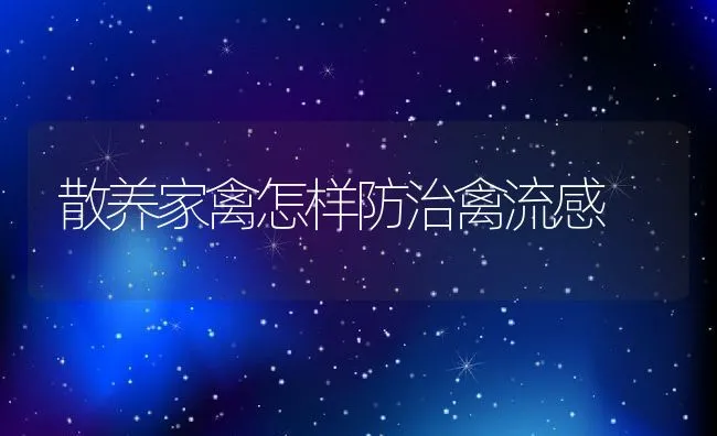 散养家禽怎样防治禽流感 | 动物养殖学堂