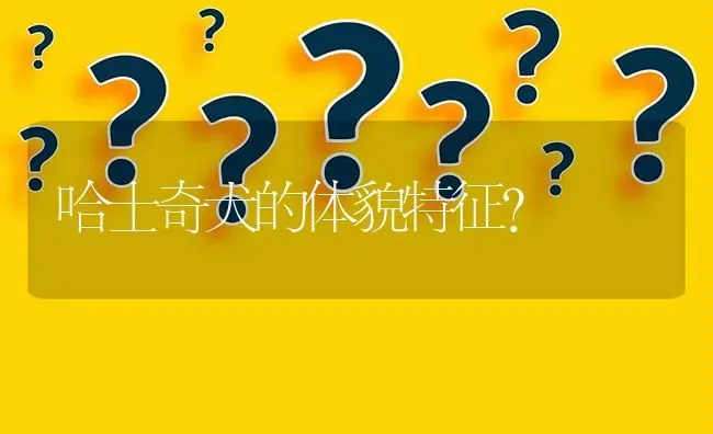 哈士奇犬的体貌特征？ | 动物养殖问答