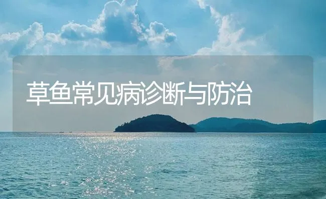 草鱼常见病诊断与防治 | 海水养殖技术