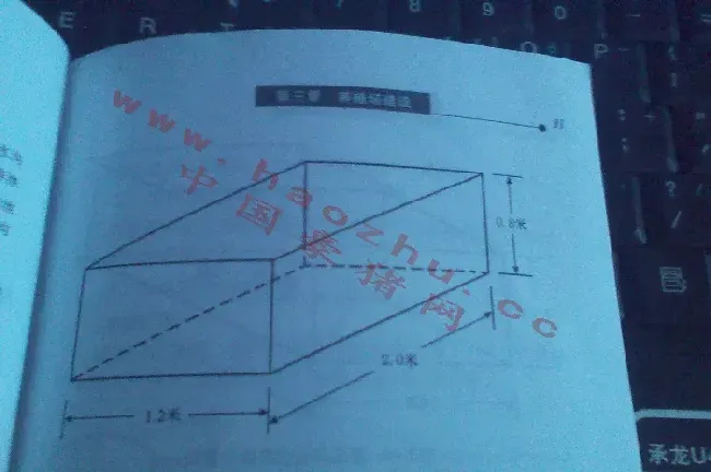 豪猪养殖池建造及其要点