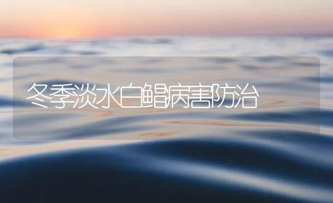 冬季淡水白鲳病害防治 | 海水养殖技术