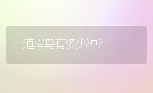 三道眉鸟有多少种？ | 动物养殖问答