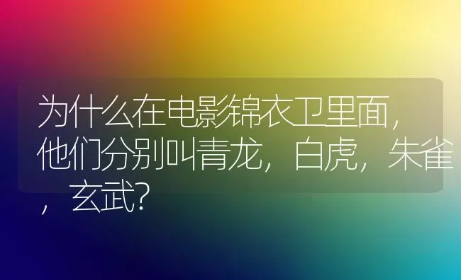 为什么在电影锦衣卫里面，他们分别叫青龙，白虎，朱雀，玄武？ | 动物养殖问答