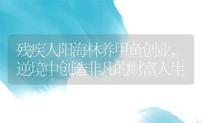 残疾人阳海林养甲鱼创业，逆境中创造非凡的财富人生 | 动物养殖百科