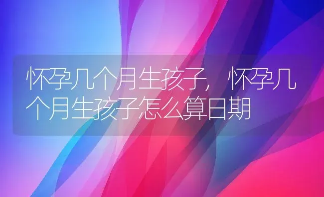 怀孕几个月生孩子,怀孕几个月生孩子怎么算日期 | 宠物百科知识