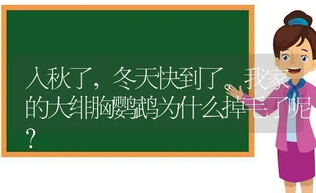 入秋了，冬天快到了。我家的大绯胸鹦鹉为什么掉毛了呢？ | 动物养殖问答