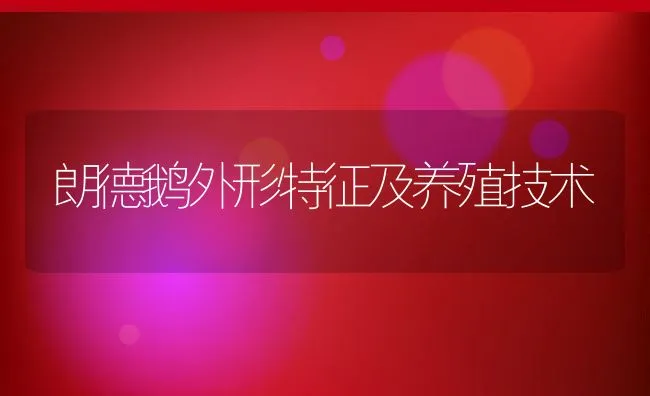 中华鳖病毒病的防治技术 | 海水养殖技术