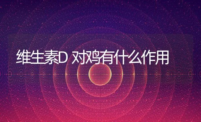 维生素D对鸡有什么作用 | 动物养殖学堂