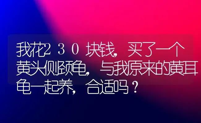 我花230块钱，买了一个黄头侧颈龟，与我原来的黄耳龟一起养，合适吗？ | 动物养殖问答