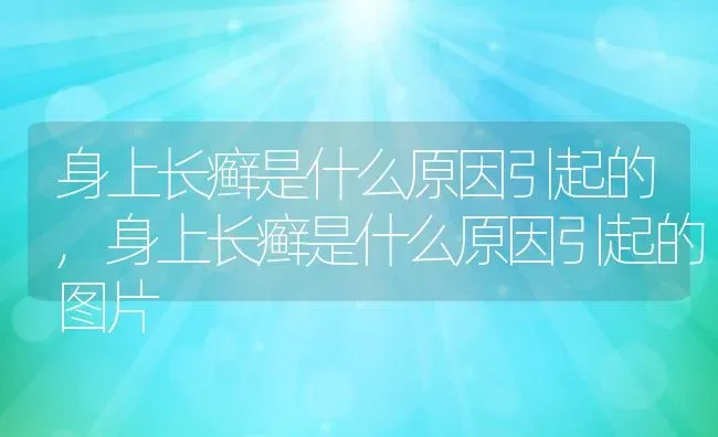 身上长癣是什么原因引起的,身上长癣是什么原因引起的图片 | 宠物百科知识