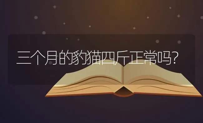 三个月的豹猫四斤正常吗？ | 动物养殖问答