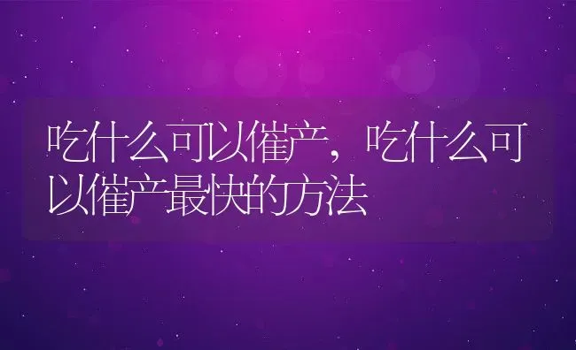 吃什么可以催产,吃什么可以催产最快的方法 | 宠物百科知识