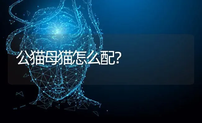 高加索的别称？ | 动物养殖问答