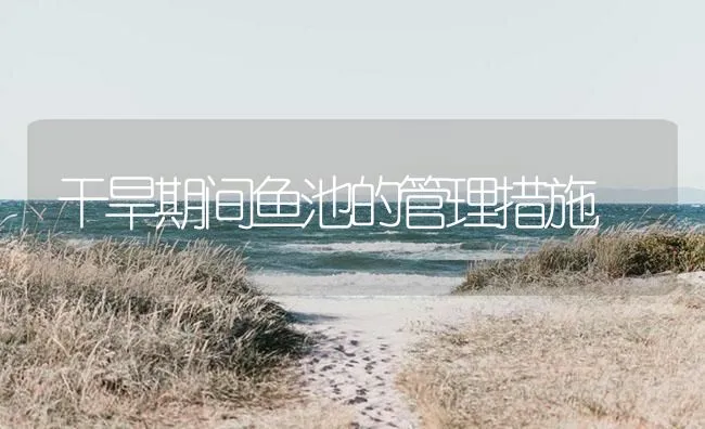 干旱期间鱼池的管理措施 | 海水养殖技术