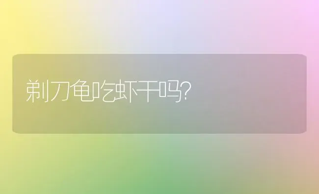 剃刀龟吃虾干吗？ | 动物养殖问答