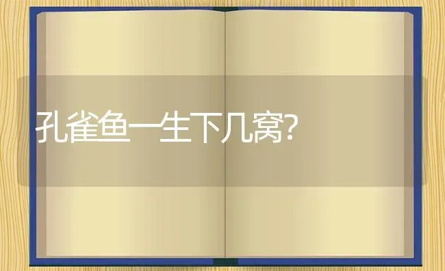 创造与魔法弹涂鱼火山湖？ | 鱼类宠物饲养