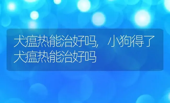 犬瘟热能治好吗,小狗得了犬瘟热能治好吗 | 宠物百科知识