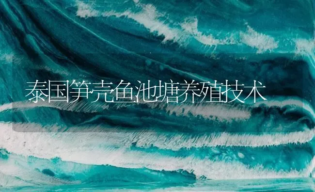 泰国笋壳鱼池塘养殖技术 | 海水养殖技术