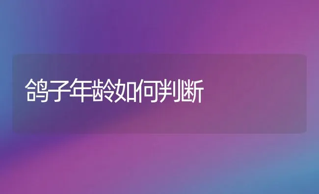 1到5月内蒙古农畜产品出口达1.33亿美元 | 动物养殖饲料