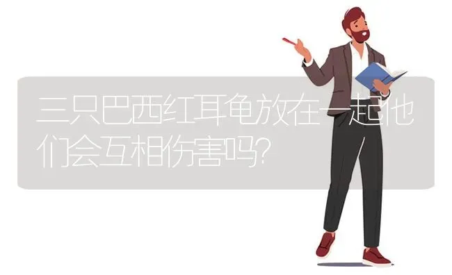 三只巴西红耳龟放在一起他们会互相伤害吗？ | 动物养殖问答