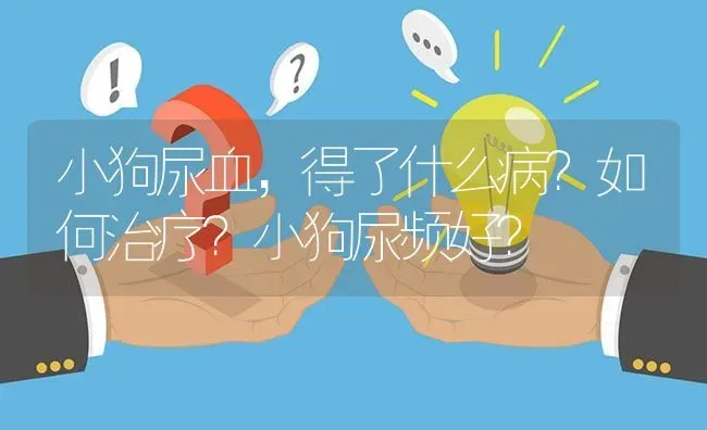 小狗尿血，得了什么病？如何治疗？小狗尿频好？ | 动物养殖问答