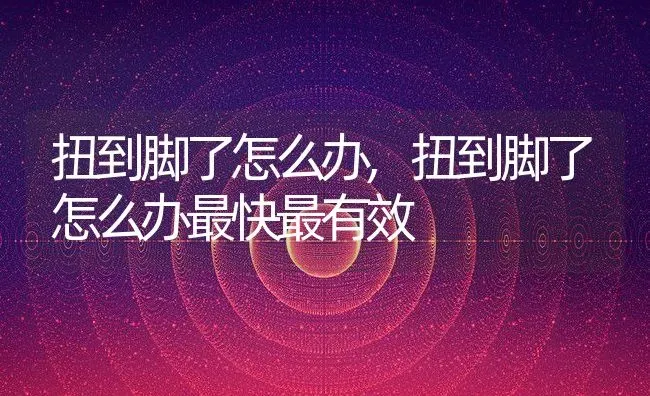 扭到脚了怎么办,扭到脚了怎么办最快最有效 | 宠物百科知识