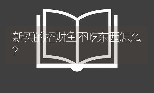 新买的招财鱼不吃东西怎么？ | 鱼类宠物饲养