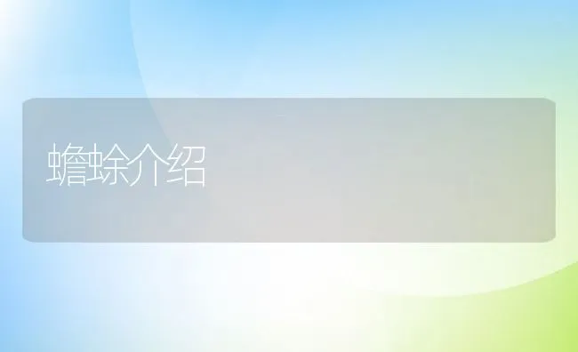 蟾蜍介绍 | 水产养殖知识