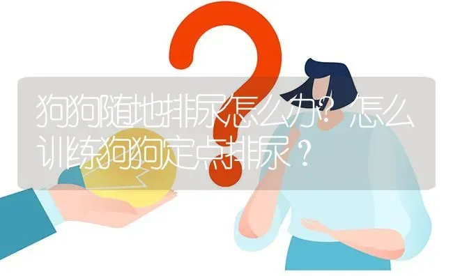 狗狗随地排尿怎么办?怎么训练狗狗定点排尿？ | 动物养殖问答