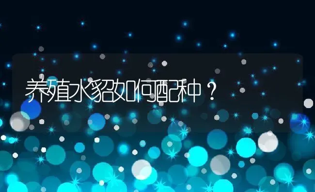 养殖水貂如何配种？ | 动物养殖百科