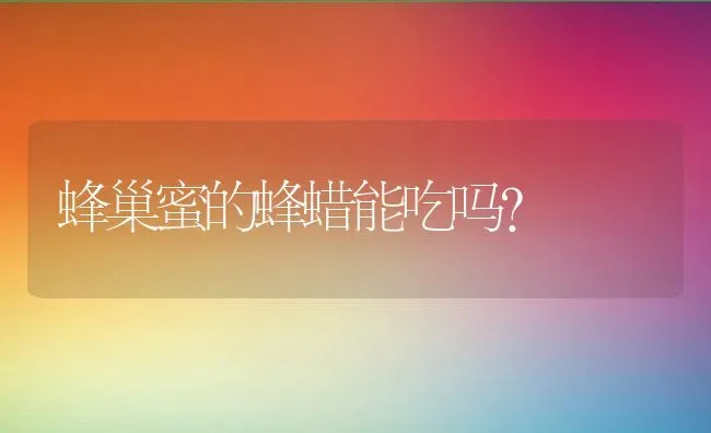 蜂巢蜜的蜂蜡能吃吗？ | 动物养殖百科