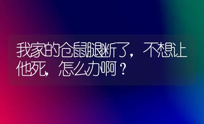 我家的仓鼠腿断了，不想让他死，怎么办啊？ | 动物养殖问答