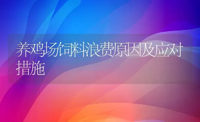 养鸡场饲料浪费原因及应对措施 | 动物养殖百科