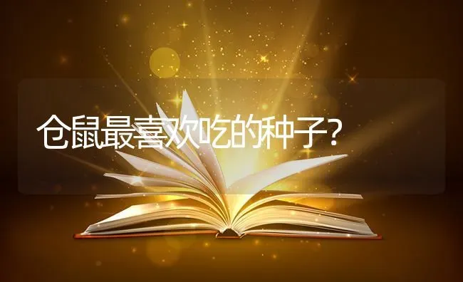 仓鼠最喜欢吃的种子？ | 动物养殖问答