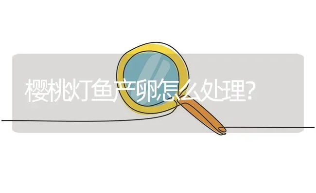 樱桃灯鱼产卵怎么处理？ | 鱼类宠物饲养